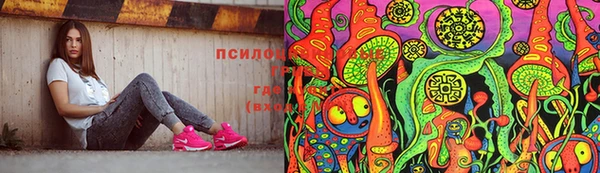 индика Армянск