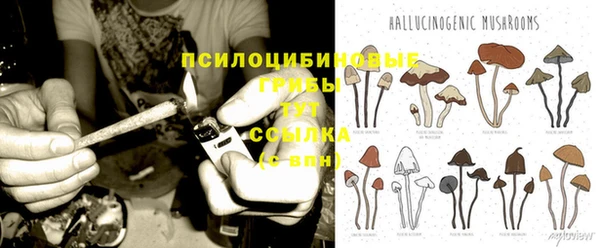 индика Армянск