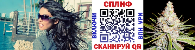 Марихуана гибрид  Сальск 